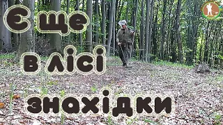 Коп в лісі. НЕ ОЧІКУВАВ ЙОГО ЗНАЙТИ. Передаю ПРИВІТИ. Пошуки з металошукачем ХР Деус в Україні