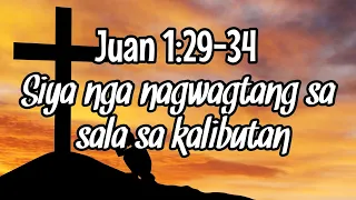 Juan 1:29-34 | Siya nga nagwagtang sa sala sa kalibutan | Bisaya Translation