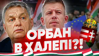Віктор Орбан в небезпеці: протести в Угорщині, противник Орбана – Петер Мадяр