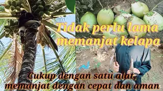 ASMR ALAT MEMANJAT POHON KELAPA PALING CEPAT