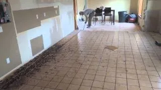 Floor Demolition - Part of the Kitchen Remodeling Project
