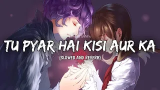 Tu Pyar hai kisi aur ka lofi ❣️(Slowed And Reverb) | Kumar sanu | SAR Music's