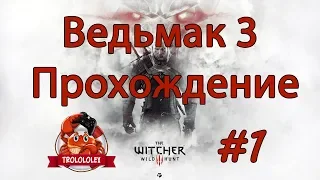 Ведьмак 3, The Witcher 3 Wild Hunt #1