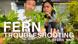 Fern troubleshooting and fern tour - with Wina @fern_wmp