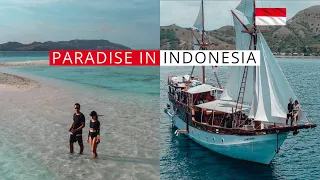 We Sailed Around KOMODO ISLAND - Best Trip Ever