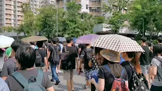 20190810香港大埔遊行