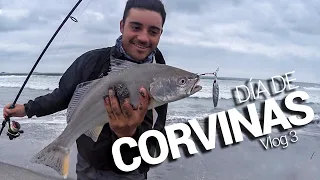 DÍA de CORVINAS - Vlog 3