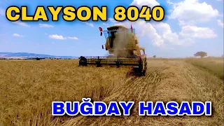 Clayson 8040 ile Buğday Hasadı