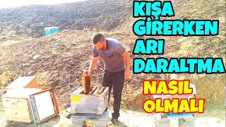 Kışın arıya kaç çıta bırakmalıyız  sıkıştırmalıyız en iyi şekilde anlatım ne fayda