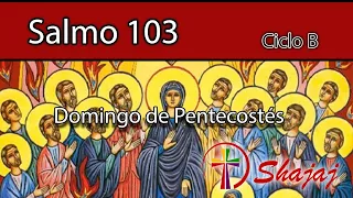 Salmo 103-Domingo 19 de Mayo -Envía, Señor, tu Espíritu a renovar la tierra. Aleluya. - CicloB