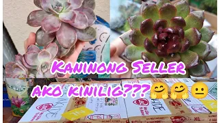 Plant Mail | Unboxing 2 Boxes of Korean Succulent, Happy Heart Yarnnnn????💋