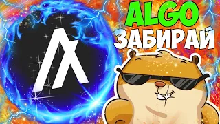 ТЫ МОЖЕШЬ УСПЕТЬ КУПИТЬ ЭТУ КРИПТОВАЛЮТУ ПРЯМО СЕЙЧАС! ALGO ЧТО ЭТО? КРИПТОВАЛЮТА ALGORAND, ОБЗОР