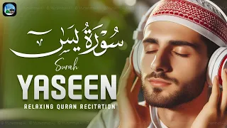 Surah Yasin (Yaseen) | Full With Arabic | Beautiful recitation | یس سورہ | EP221