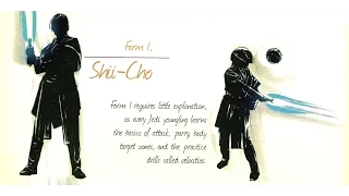Form I: Shii-Cho - Description & Analysis