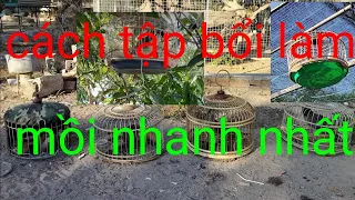 @ cách tập bổi để làm mồi nhanh nhất