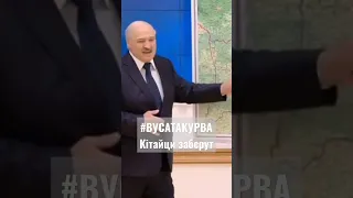 Лукашенко зробив прогноз для расєї #лукашенко #мем #вусатакурва #прогноз #funny #tiktok #shorts