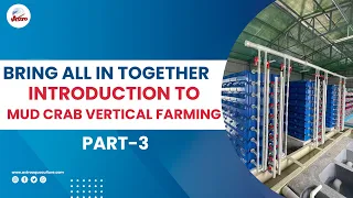 Bring all in together Introduction to mud crab vertical farming - Part 3