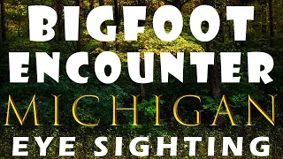 Bigfoot Encounter In Michigan | I Witnessed The Creature Up Close!!!