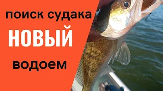 ЛОВЛЯ СУДАКА НА СПИННИНГ ОСЕНЬЮ