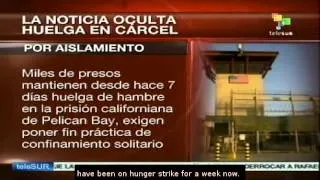 U.S. prisoners on hunger strike against solitary confinement