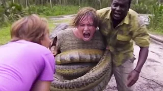 10 DEADLIEST Snake Encounters Caught On Camera