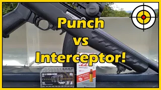 Did It Just Beat The BEST?! Federal Punch vs Aguila Interceptor .22lr Ballistic Gel Test!