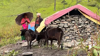 Surviving Life in the Nepali Mountains during the Rainy Season || Very Hard Lifestyle || IamSuman