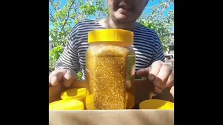 Пчелиная пыльца с мёдом, полезные свойства 1