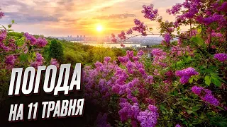 🌞 Погода на 11 травня: чи буде покращення погоди?