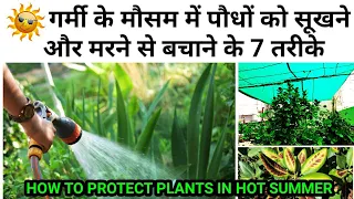 गर्मी में इन 7 कामों को अभी कीजिये, हरे भरे और हेल्दी रहेंगे पौधे. How To Protect Plants In Summer