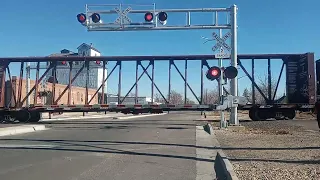 NB UP Manifest Train in Greeley Co! #RockyMountainRailfan