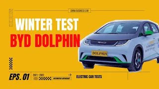 Зимний ТЕСТ | BYD Dolphin | Ускорение | Торможение |Заносы |Запас хода при -15 С