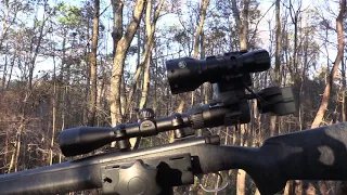 Army Veteran With 3D Night Vision on a 300 Win. Mag. VS Hog