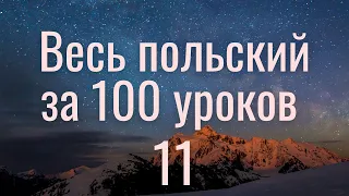 Весь польский за 100 уроков. Польские слова и фразы. Польский с нуля. Польский язык. Часть 11