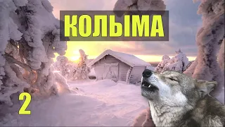 Зеки обнаружили на кладбище СЛУЧАЙ в ТАЙГЕ СУДЬБА ЧЕЛОВЕКА ЖИЗНЬ в ТАЙГЕ КОЛЫМА ОТШЕЛЬНИК и ВОЛК 2