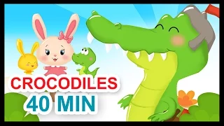 Ah les crocodiles et 40 min de comptines - Titounis