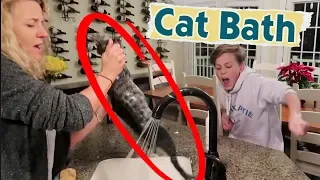 It's Our First Cat Bath *SPOILER ALERT Cats Don't Like Water!!!*