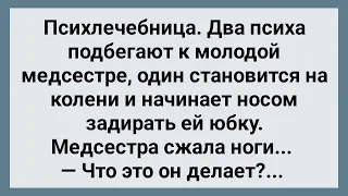 Два Психа и Молодая Медсестра в Дурке! Сборник Свежих Анекдотов! Юмор!