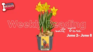 🌺LIVE: TBA + Weekly Reading