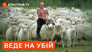 ПУТІН ПІШОВ ВА-БАНК: як у ЗСУ реагують на мобілізацію в росії    Апостроф ТВ