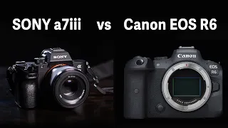 sony a7iii vs Canon EOS R6 - specs comparison side by side