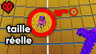 J'ai Construit un Énorme Champ sur Minecraft Hardcore