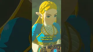 Why Doesn't Link Talk in The Legend of Zelda? #shorts