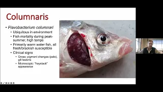 Fish Health and Diseases Overview - Great Lakes Aquaculture Days Presentation