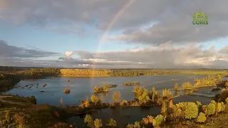 Стихи над миром. 8 сентября. Стихотворения Николая Туроверова