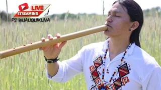 Magic of native flutes #livestream #beautiful #music #subscribe #fabiansalazarwuauquikuna