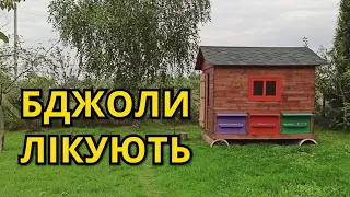 🔴Здоровий сон на бджолах в Старому Ярі. @NEWSplusUA