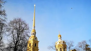 Колокольный звон на колокольне Петропавловского собора