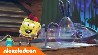 Kampamento Koral | ¡Bob Esponja hace comedia! | Nickelodeon en Español