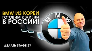 BMW из Кореи : чип-тюнинг, замеры мощности двигателя на стенде, русификация, отключение мочевины.